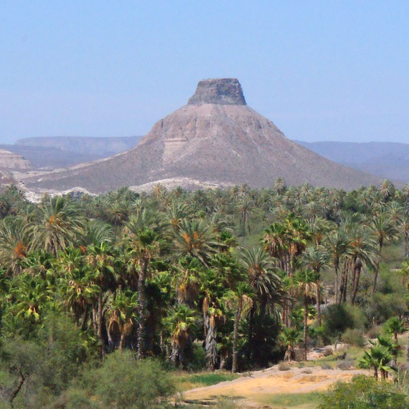 Cerro El Pilón